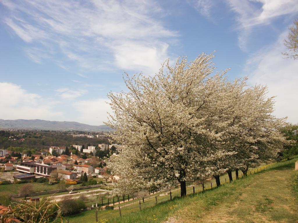 Domaine Lyon Saint Joseph Hotel Sainte Foy les Lyon Bagian luar foto